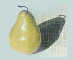 a-pear.net logo