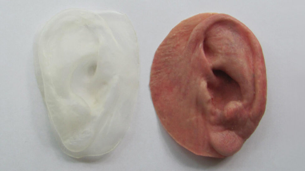 ear-uncolored-lft-colored-2-right